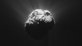What Other Scientists Are Saying About Today's "Life on a Comet" Claim